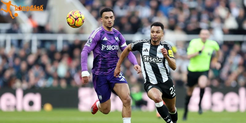 Chi tiết kèo Fulham vs Newcastle United