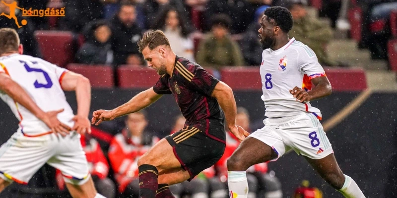 Dự đoán đội hình xuất trận New Zealand vs Bỉ
