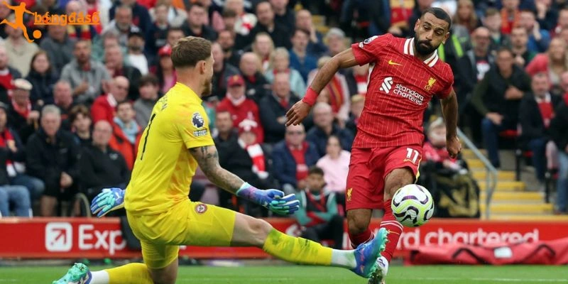 Dự đoán tỷ lệ kèo Liverpool vs Brentford