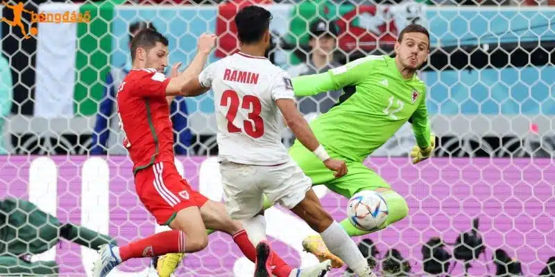 Kết quả chạm trán đã qua của Iran vs New Zealand 