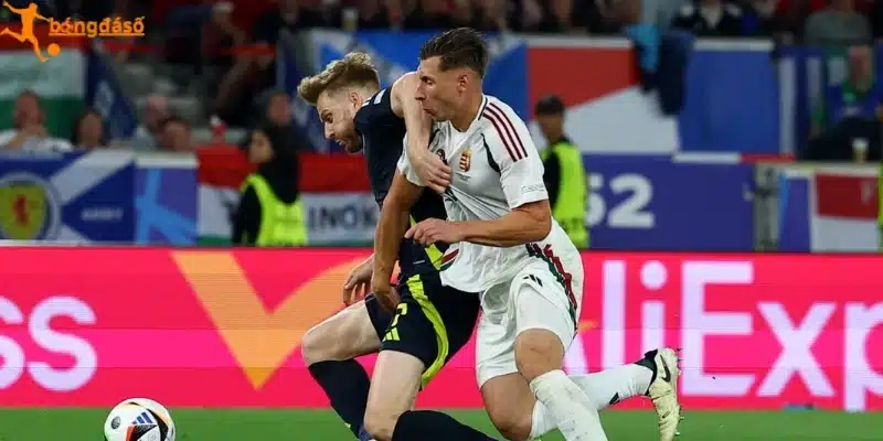 Lực lượng ra sân sắp tới của Haiti vs Scotland
