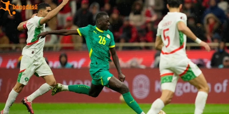 Sơ đồ lực lượng giữa Na Uy vs Sénégal 