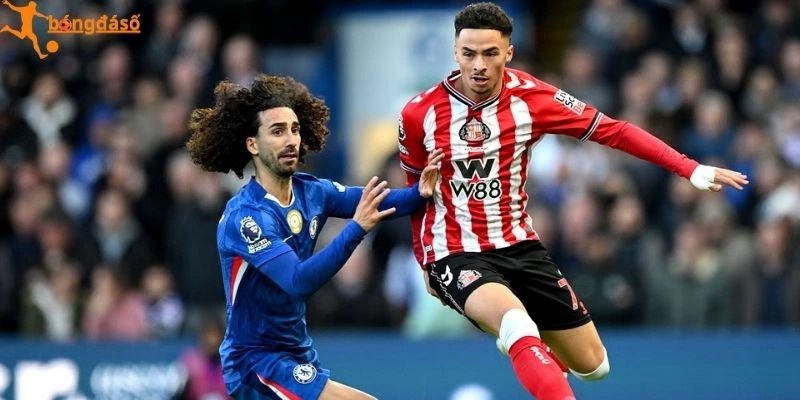 Sơ lược cục diện trước trận Sunderland Vs Chelsea