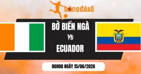 Soi Kèo Bóng Đá Bờ Biển Ngà Vs Ecuador – Bảng E World Cup 06h00 15/06/2026