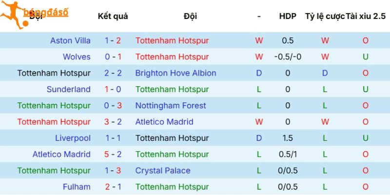 Thành tích ra sân của Tottenham Hotspur