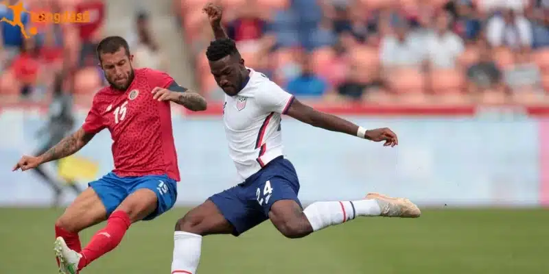 Thông tin đội hình Brazil vs Haiti